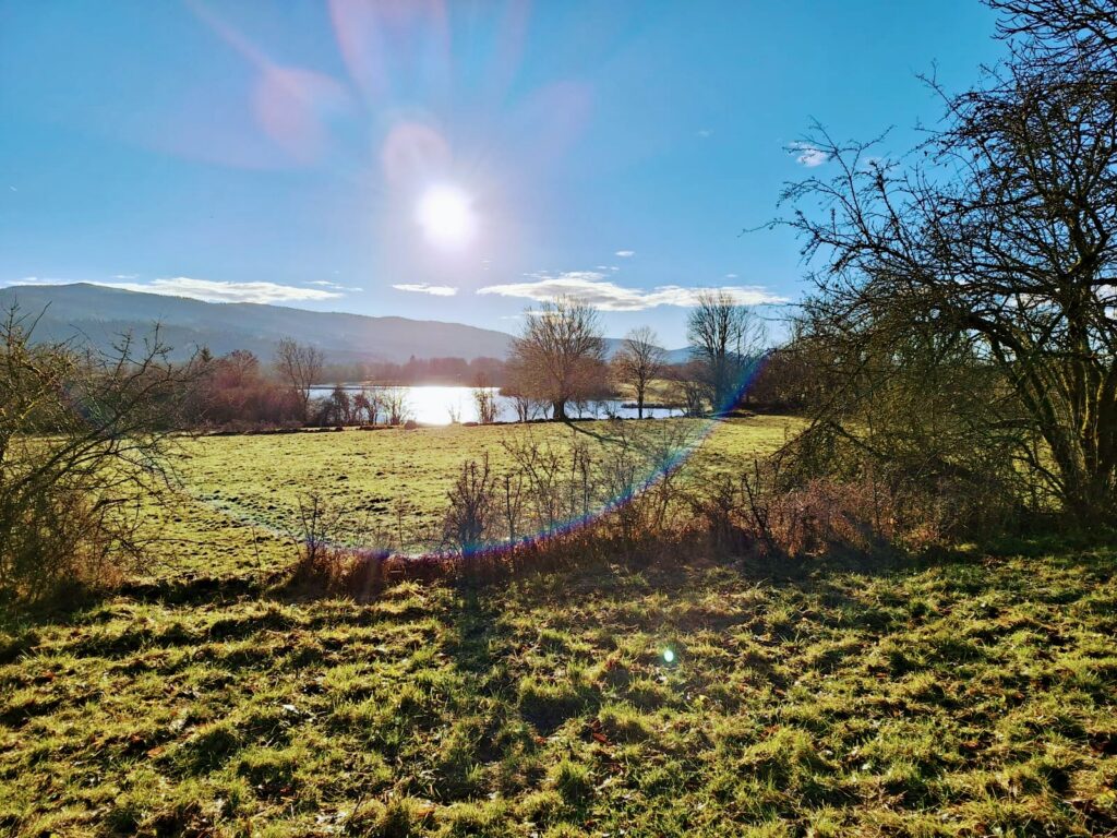 IMG 20231215 WA00222 1024x768