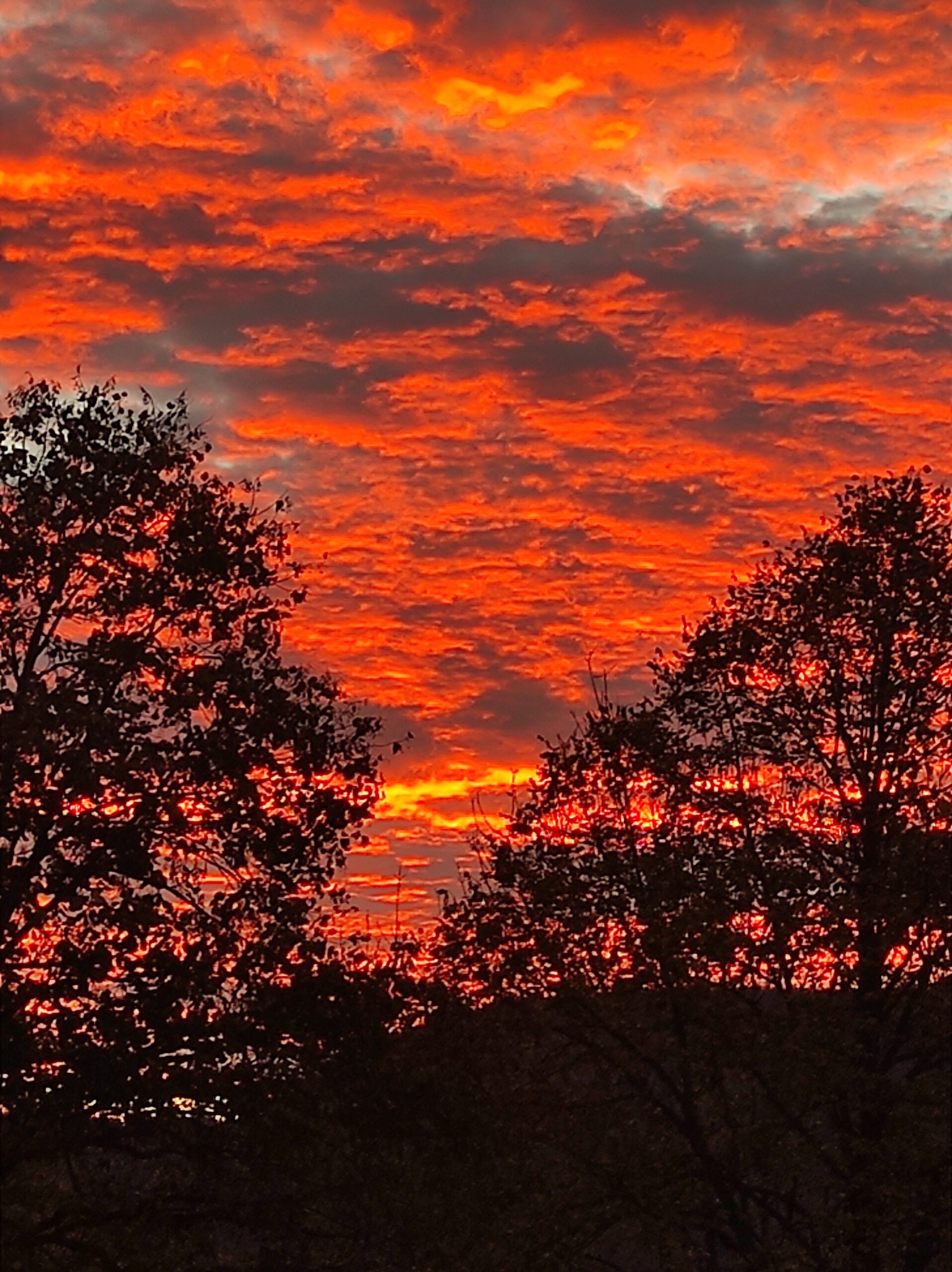 IMG 20221016 074615 Scaled